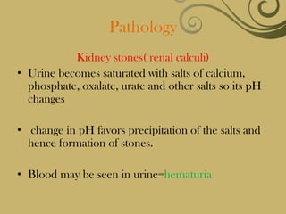 Pathology
           Kidney stones( renal calculi)
• Urine becomes saturated with salts of calcium,
  phosphate, oxalate, urate and other salts so its pH
  changes

• change in pH favors precipitation of the salts and
  hence formation of stones.

• Blood may be seen in urine=hematuria
 