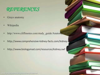 REFERENCES
• Grays anatomy

• Wikipedia

• http://www.cliffsnotes.com/study_guide/Anatomy-of-the-Kidneys

• http://www.comprehensive-kidney-facts.com/kidney-anatomy.htm

• http://www.biologymad.com/resources/kidney.swf
 