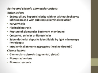 Active and chronic glomerular lesions
Active lesions
• Endocapillary hypercellularity with or without leukocyte
infiltration and with substantial luminal reduction
• Karyorrhexis
• Fibrinoid necrosis
• Rupture of glomerular basement membrane
• Crescents, cellular or fibrocellular
• Subendothelial deposits identifiable by light microscopy
(wireloops)
• Intraluminal immune aggregates (hyaline thrombi)
Chronic lesions
• Glomerular sclerosis (segmental, global)
• Fibrous adhesions
• Fibrous crescents
 