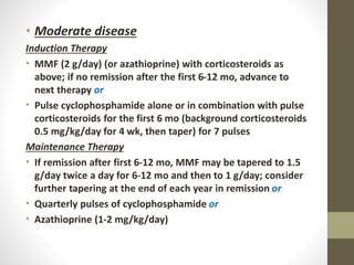 • Moderate disease
Induction Therapy
• MMF (2 g/day) (or azathioprine) with corticosteroids as
above; if no remission after the first 6-12 mo, advance to
next therapy or
• Pulse cyclophosphamide alone or in combination with pulse
corticosteroids for the first 6 mo (background corticosteroids
0.5 mg/kg/day for 4 wk, then taper) for 7 pulses
Maintenance Therapy
• If remission after first 6-12 mo, MMF may be tapered to 1.5
g/day twice a day for 6-12 mo and then to 1 g/day; consider
further tapering at the end of each year in remission or
• Quarterly pulses of cyclophosphamide or
• Azathioprine (1-2 mg/kg/day)
 