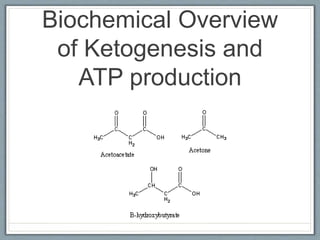 Biochemical Overview
of Ketogenesis and
ATP production
 
