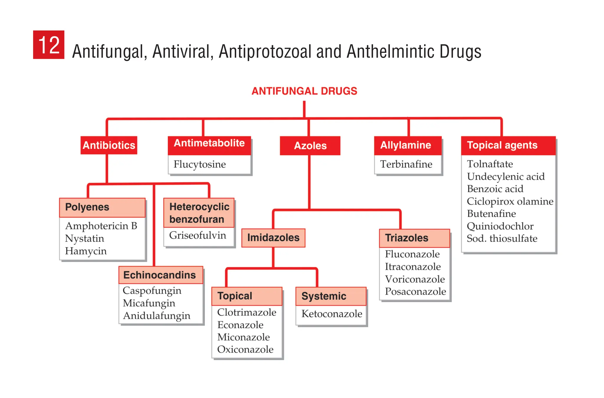 Kd Tripathi Pharmacological Classification Of Drugs With Doses And Pdf