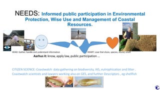 NEEDS: Informed public participation in Environmental
Protection, Wise Use and Management of Coastal
Resources.
HEAD: Gather, handle and understand information HEART: Love that shore, species, sound, smell
Aarhus it: know, apply law, public participation …
CITIZEN SCIENCE: Coastwatch data gathering on biodiversity, IAS, eutrophication and litter .
Coastwatch scientists and lawyers working also on GES, and further Descriptors , eg shellfish
 