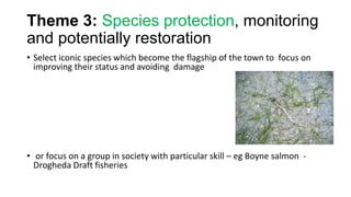 Theme 3: Species protection, monitoring
and potentially restoration
• Select iconic species which become the flagship of the town to focus on
improving their status and avoiding damage
• or focus on a group in society with particular skill – eg Boyne salmon -
Drogheda Draft fisheries
 