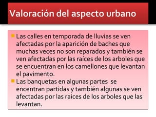  Las calles en temporada de lluvias se ven
  afectadas por la aparición de baches que
  muchas veces no son reparados y también se
  ven afectadas por las raíces de los arboles que
  se encuentran en los camellones que levantan
  el pavimento.
 Las banquetas en algunas partes se
  encentran partidas y también algunas se ven
  afectadas por las raíces de los arboles que las
  levantan.
 