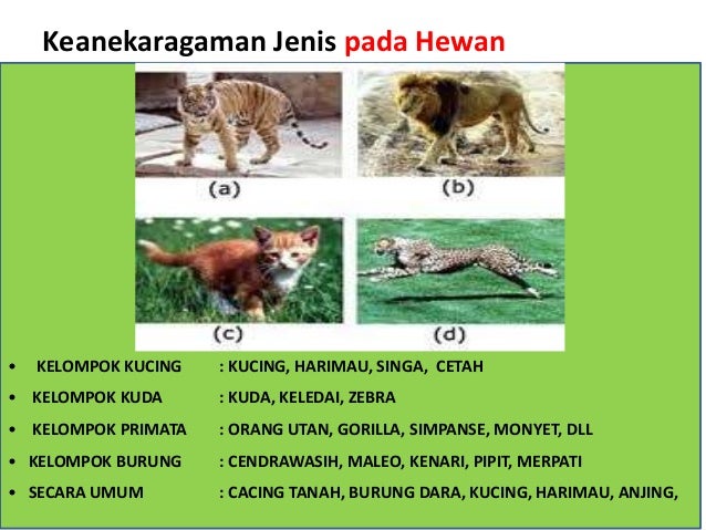 Keanekaragaman hayati
