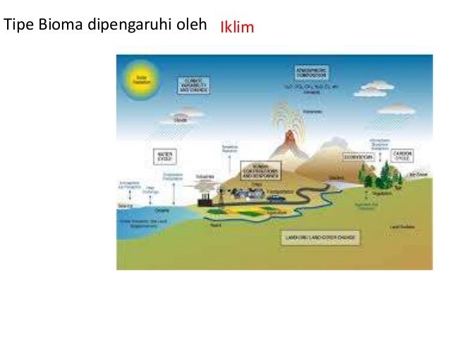 Keanekaragaman hayati