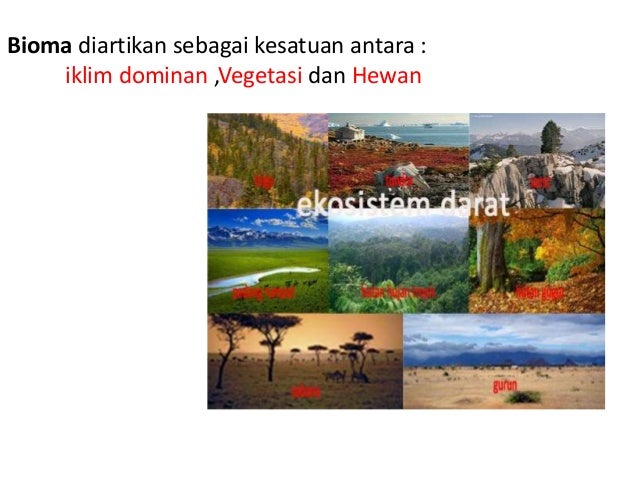 Keanekaragaman hayati