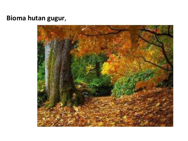Keanekaragaman hayati
