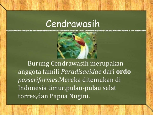 Keanekaragaman Hayati Indonesia Keanekaragaman Hayati Indonesia
