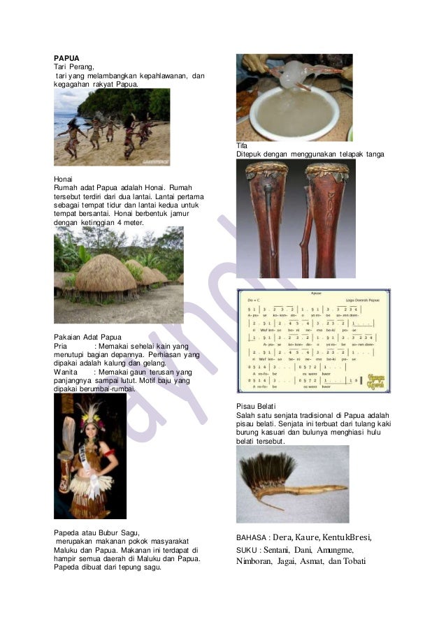 Rumah Adat Papua Rumah Honai Kariwari Dan Rumsram