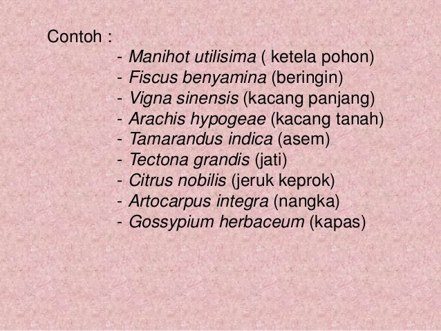 Keanekaragaman dan Klasifikasi Makhluk Hidup