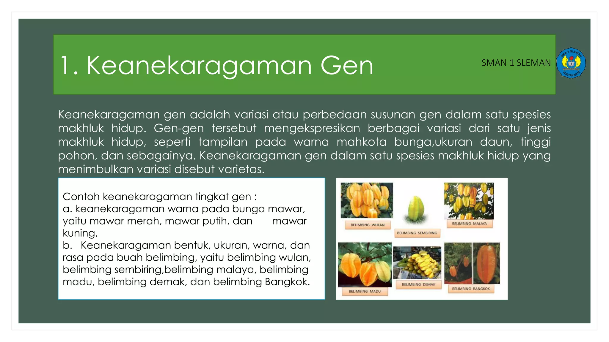 Keanekaragaman gen,jenis, dan ekosistem PDF