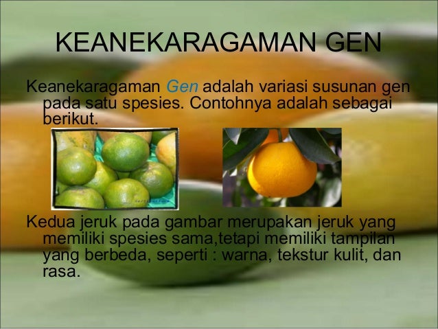  Keanekaragaman  hayati