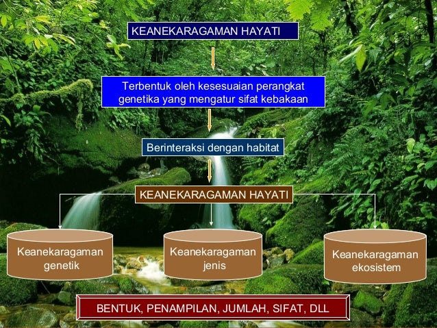 Keanekaragaman hayati