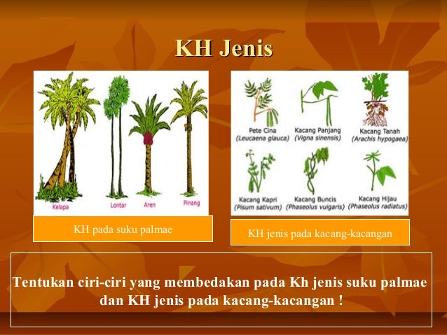 Keanekaragaman hayati