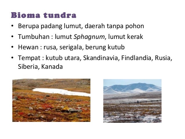 Keanekaragaman Hayati 29464618