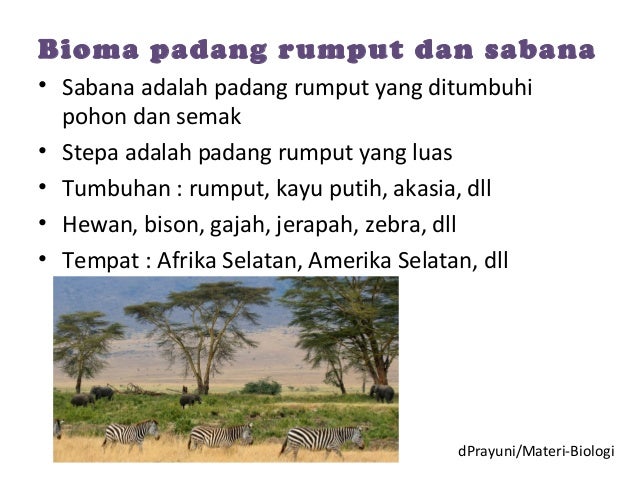 Keanekaragaman hayati