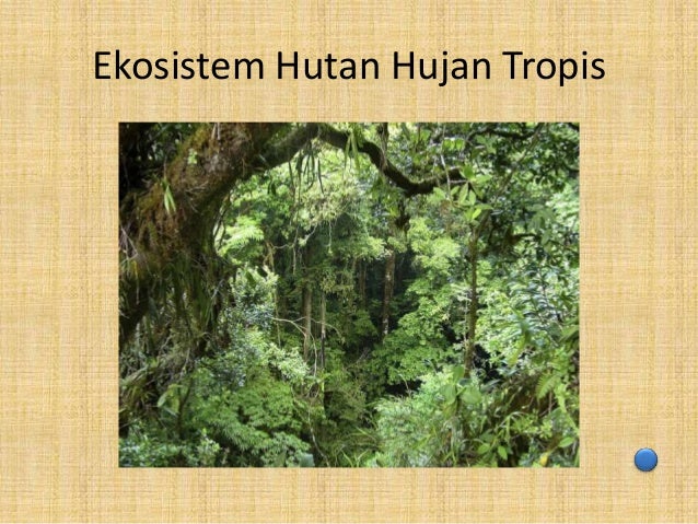 Keanekaragaman Hayati
