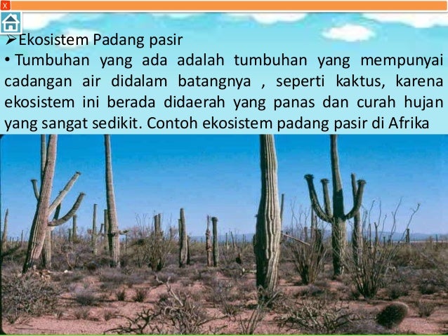 Contoh Ekosistem Air Buatan - Contoh Raffa