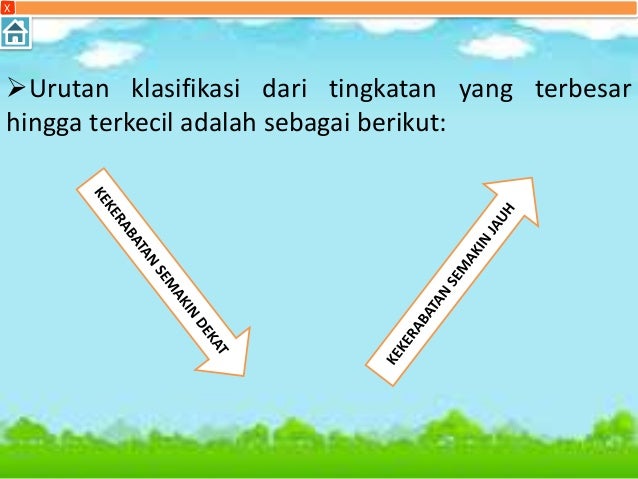 Contoh Identifikasi Hewan - Terbaru 10