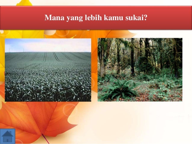 Keanekaragaman hayati