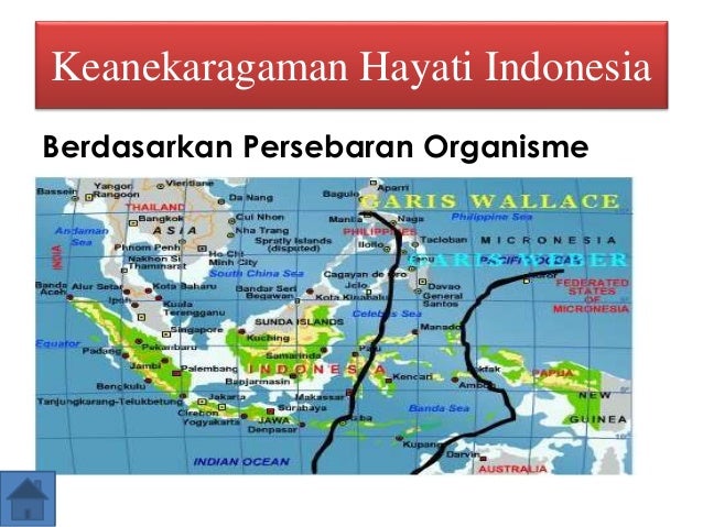 Keanekaragaman hayati