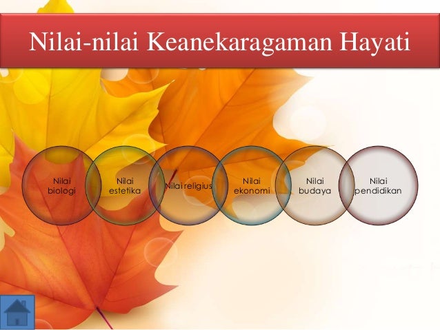 Keanekaragaman hayati Keanekaragaman hayati