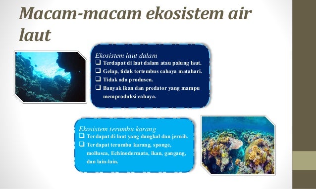 Keanekaragaman hayati