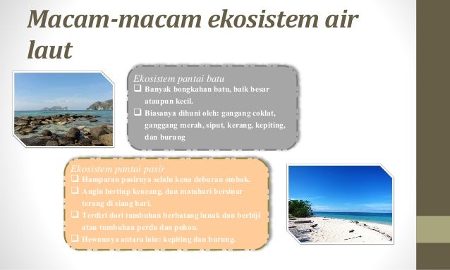 Keanekaragaman Hayati 54822538