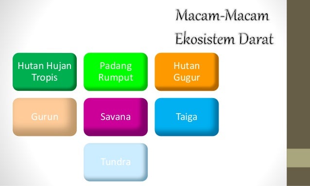 Keanekaragaman hayati