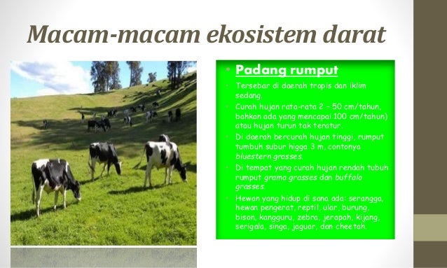 Keanekaragaman hayati
