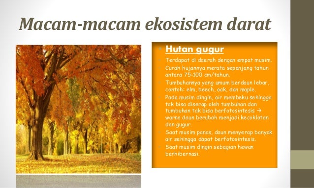 Keanekaragaman hayati