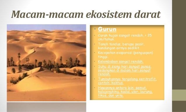 Keanekaragaman hayati