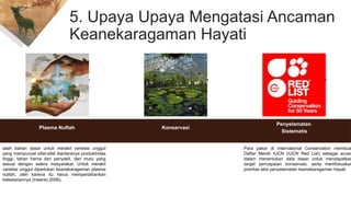7
5. Upaya Upaya Mengatasi Ancaman
Keanekaragaman Hayati
Konservasi
Penyelamatan
Sistematis
Para pakar di International Conservation membua
Daftar Merah IUCN (IUCN Red List) sebagai acuan
dalam menentukan data dasar untuk mendapatkan
target pencapaian konservasi, serta memfokuskan
prioritas aksi penyelamatan keanekaragaman hayati.
Plasma Nuftah
ialah bahan dasar untuk merakit varietas unggul
yang mempunyai sifat-sifat diantaranya produktivitas
tinggi, tahan hama dan penyakit, dan mutu yang
sesuai dengan selera masyarakat. Untuk merakit
varietas unggul diperlukan keanekaragaman plasma
nutfah, oleh karena itu harus mempertahankan
kelestariannya (Irwanto,2006).
 