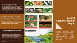 Keanekaragaman gen adalah variasi perbedaan
sifat dan penampilan antarindividu berbeda
jenis/spesies makhluk hidup. Gen-gen tersebut
mengekspresikan berbagai variasi dari satu jenis
makhluk hidup, seperti warna bulu, ukuran
badan, tinggi badan dan sebagainya.
Keanekaragaman Gen
Keanekaragaman jenis adalah variasi atau
perbedaan sifat dan penampilan individu
yang berbeda jenis/spesies dalam satu
familia. Keanekaragaman ini terbentuk karena
perbedaan struktur dan jumlah gen.
Kenanekaragaman Spesies
Keanekaragaman ekosistem adalah variasi
bentuk dan jenis bentang alam, daratan maupun
perairan, dimana tumbuhan, hewan dan
organisme yang lain saling berinteraksi, di dalam
interaksi antarorganisme ditentukan oleh
komponen biotik(berbagai jenis makhluk hidup)
dan abiotik
Keanekaragaman ekosistem Dengan berdasar pada
pengertian keanekaragaman
hayati diatas maka
keanekaragaman hayati
dilihat dari tiga tingkatan
jenis, yaitu :
3. Jenis
Keanekaragaman
Hayati
Place Your Picture Here
Place Your Picture Here
Place Your Picture Here
 