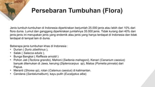 Persebaran Tumbuhan (Flora)
Jenis tumbuh-tumbuhan di Indonesia diperkirakan berjumlah 25.000 jenis atau lebih dari 10% dari
flora dunia. Lumut dan ganggang diperkirakan jumlahnya 35.000 jenis. Tidak kurang dari 40% dari
jenis-jenis ini merupakan jenis yang endemik atau jenis yang hanya terdapat di Indonesia dan tidak
terdapat di tempat lain di dunia.
Beberapa jenis tumbuhan khas di Indonesia :
• Durian ( Durio zibethinus ),
• Salak ( Salacca edulis ),
• Bunga Bangkai ( Rafflesia arnoldi )
• Pohon Jati (Tectona grandis), Mahoni (Switenia mahagoni), Kenari (Canarium caesius)
banyak ditemukan di Jawa, keruing (Dipterocarpus sp), Matoa (Pometia pinnata) dari
Papua.
• Meranti (Shorea sp), rotan (Calamus caesius) di kalimantan.
• Cendana (Santalumalbum), kayu putih (Eucalyptus alba)
 