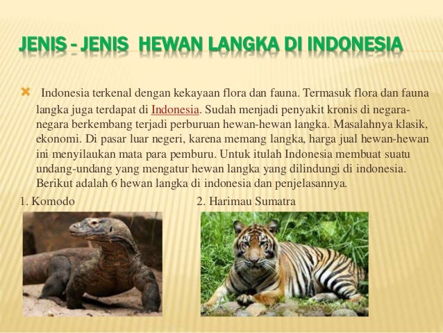 Gambar Keanekaragaman Hayati Biologi Part 2 Harimau 