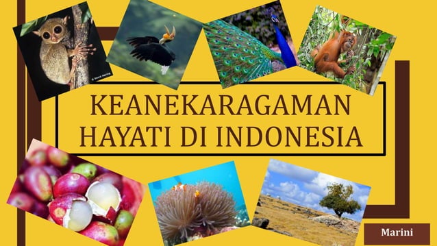 Keanekaragaman Hayati di Indonesia.pptx