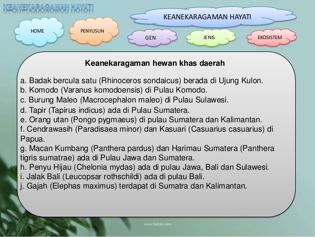 Contoh Keanekaragaman Hayati Tingkat Gen Jenis Dan Ekosistem Contoh Keanekaragaman Hayati Tingkat Gen Jenis Dan Ekosistem