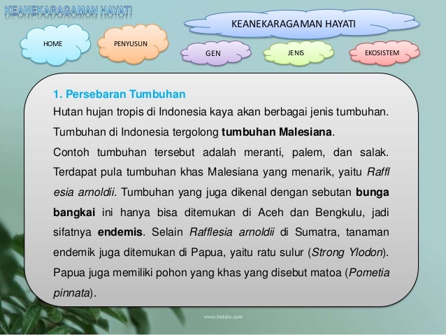 Contoh Keanekaragaman Ekosistem Adalah - Kimcil I