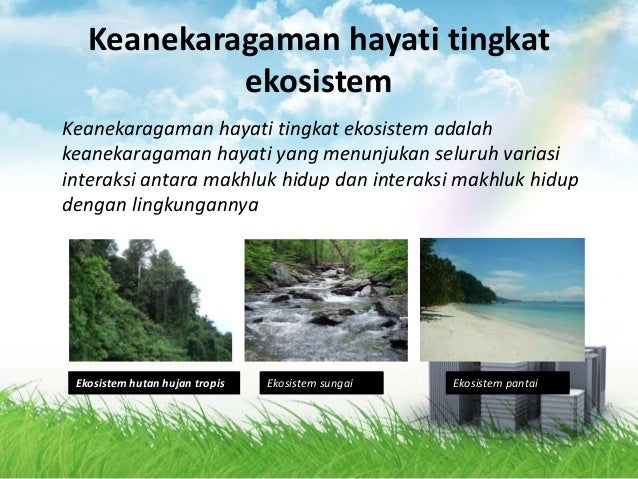 Keanekaragaman Hayati