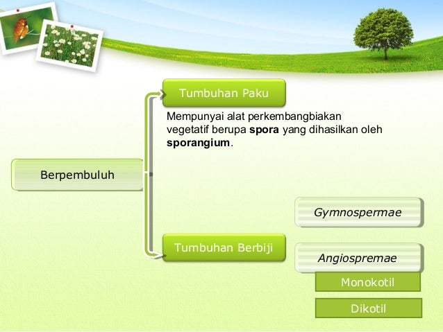Keanekaragaman makhluk hidup kelas 7 Keanekaragaman makhluk hidup kelas 7