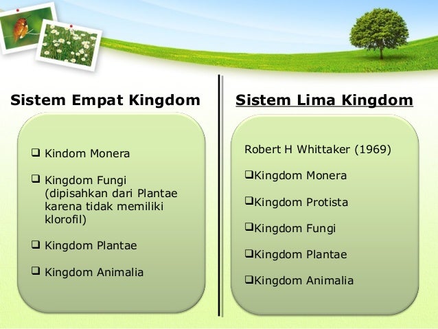Keanekaragaman makhluk hidup kelas 7