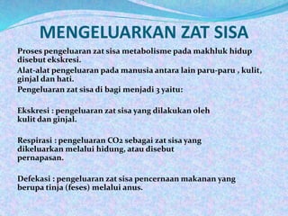 MENGELUARKAN ZAT SISA
Proses pengeluaran zat sisa metabolisme pada makhluk hidup
disebut ekskresi.
Alat-alat pengeluaran pada manusia antara lain paru-paru , kulit,
ginjal dan hati.
Pengeluaran zat sisa di bagi menjadi 3 yaitu:
Ekskresi : pengeluaran zat sisa yang dilakukan oleh
kulit dan ginjal.
Respirasi : pengeluaran CO2 sebagai zat sisa yang
dikeluarkan melalui hidung, atau disebut
pernapasan.
Defekasi : pengeluaran zat sisa pencernaan makanan yang
berupa tinja (feses) melalui anus.
 