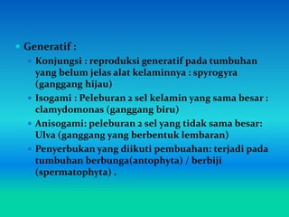  Generatif :
 Konjungsi : reproduksi generatif pada tumbuhan
yang belum jelas alat kelaminnya : spyrogyra
(ganggang hijau)
 Isogami : Peleburan 2 sel kelamin yang sama besar :
clamydomonas (ganggang biru)
 Anisogami: peleburan 2 sel yang tidak sama besar:
Ulva (ganggang yang berbentuk lembaran)
 Penyerbukan yang diikuti pembuahan: terjadi pada
tumbuhan berbunga(antophyta) / berbiji
(spermatophyta) .
 