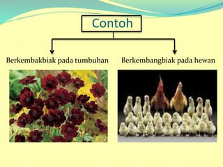 Contoh
Berkembakbiak pada tumbuhan Berkembangbiak pada hewan
 