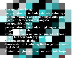  Adaptasi morfologi :
penyesuaian diri terhadap alat-alat tubuhnya,
contoh: -burung elang mempunyai kuku yang
tajam untuk menerkam mangsa,dll.
 Adaptasi fisiologi :
penyesuaian diri terhadap lingkungan dengan
fungsi alat-alat tubuh.
Contoh:-manusia menambah jumlah sel darah
merah bila berada di pegunungan.
 Adaptasi tingkahlaku:
Penyesuaian diri terhadap lingkungannya dengan
tingkah laku.
Contoh:-bunglon merubah warna di tubuhnya.
 
