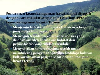 Penurunan keanekaragaman hayati dapat dicegah
dengan cara melakukan pelestarian (konservasi)
keanekaragaman hayati. Tujuan :
 Menjamin kelestarian fungsi ekosistem sebagai
penyangga kehidupan
 Mencegah terjadinya kepunahan spesies yang
disebabkan oleh kerusakan habitat dan
pemanfaatan yang tidak terkendali.
 Menyediakan sumber plasma nutfah untuk
mendukung pengembangan dan budidaya kultivar-
kultivar tanaman pangan, obat-obatan, maupun
hewan ternak.
 