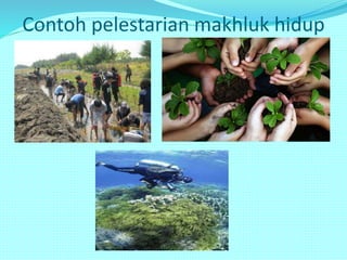 Contoh pelestarian makhluk hidup
 
